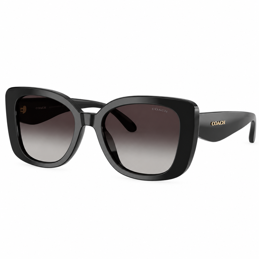 Coach Black And Purple Acetate Cat Eye Sunglasses with Gradient Grey Lenses for Women (HC8450U)