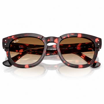 Ray-Ban Unisex Full Rim Sunglasses with Pink Havana Acetate Frame (RB0298S)